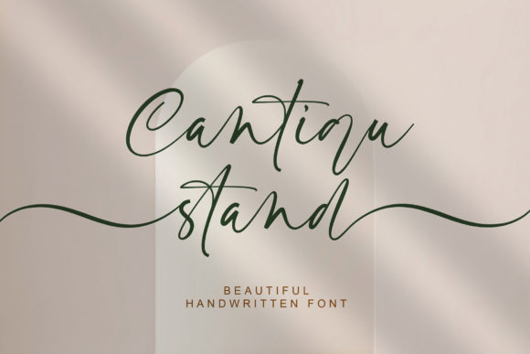 Cantiqu Stand: A Beautiful Script Font for Branding Projects