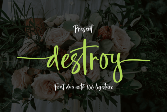 Destroy Font for Professional Branding and Modern Design