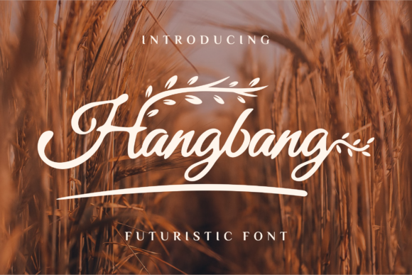 Hangbang Font Review for Campaign Design