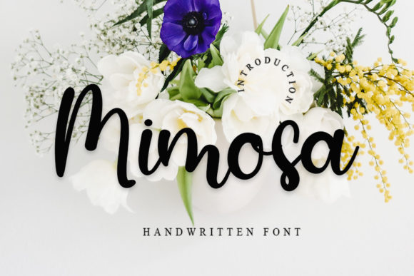 Mimosa Font for Polished Branding