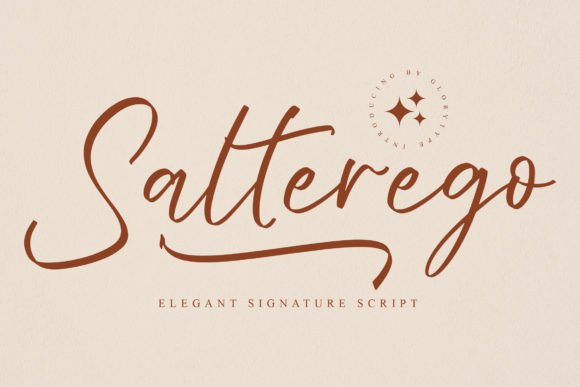 Salterego Font for Campaign Design