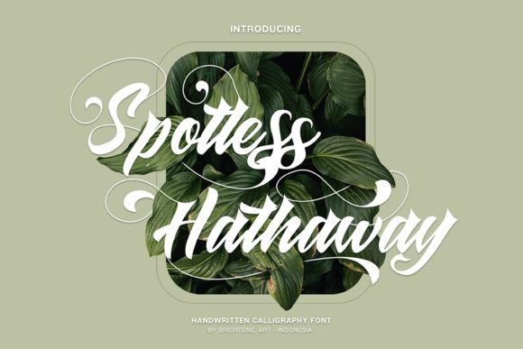 Spotless Hathaway Font for Polished Branding