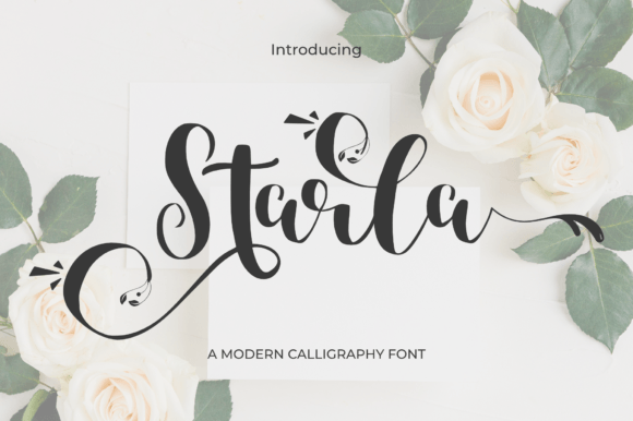 Starla: A Script Font That Elevates Your Campaign Design