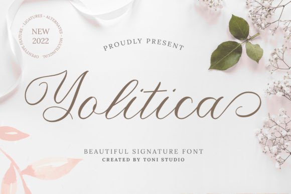 Yolitica: The Font That Elevates Your Campaigns